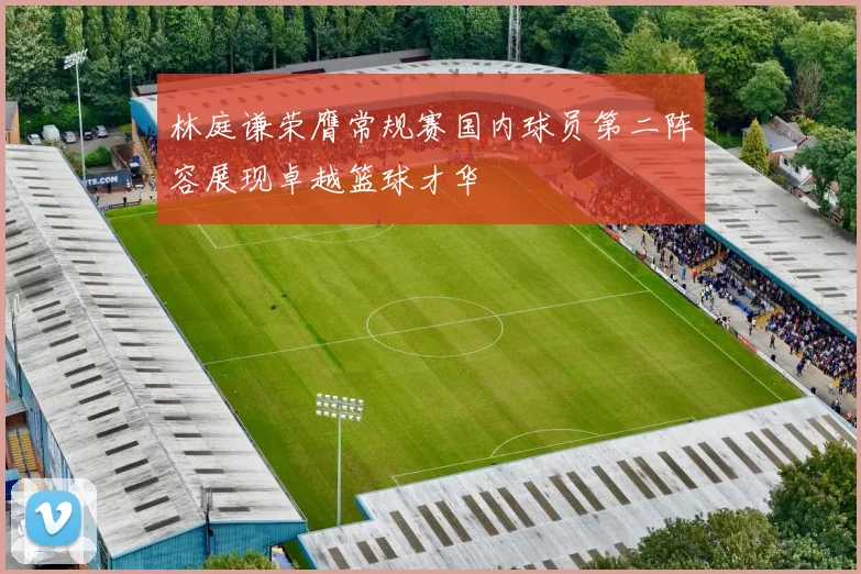 林庭谦荣膺常规赛国内球员第二阵容展现卓越篮球才华